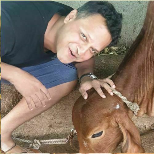 Kashyap Parulekar with cow