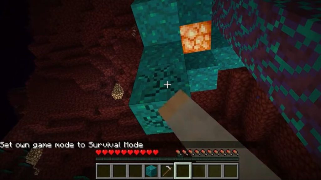 Mine the Warped Wart Block