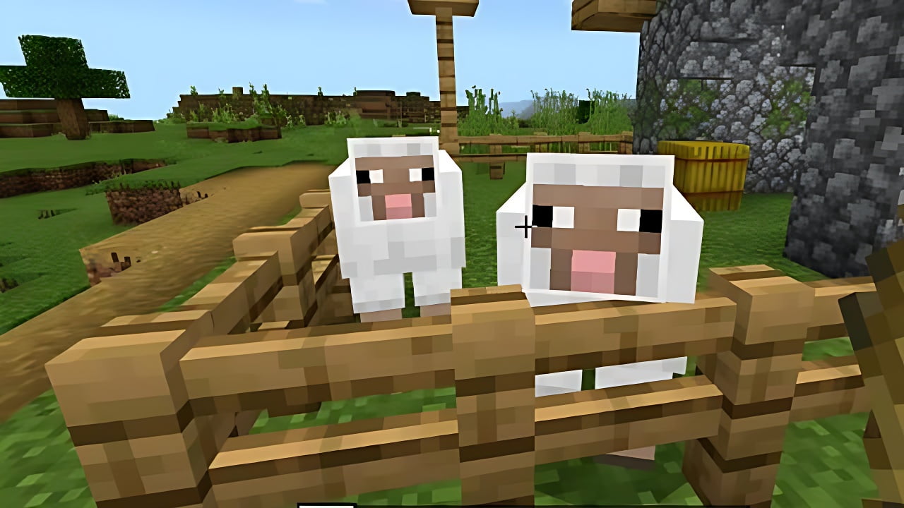 Minecraft Manual Wool Farm